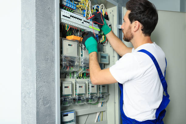 Best Electric Panel Repair  in Forsyth, IL